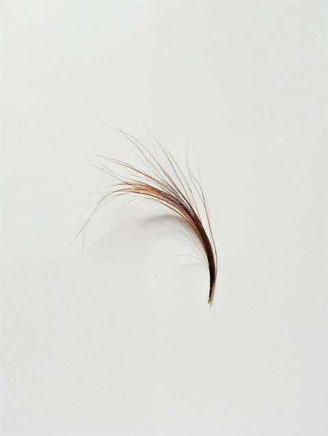 Nehmen Sie Ihre Probe zu Hause