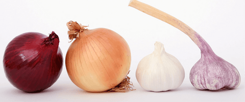 Allium intolerance and allergy symptoms | Onion & Garlic